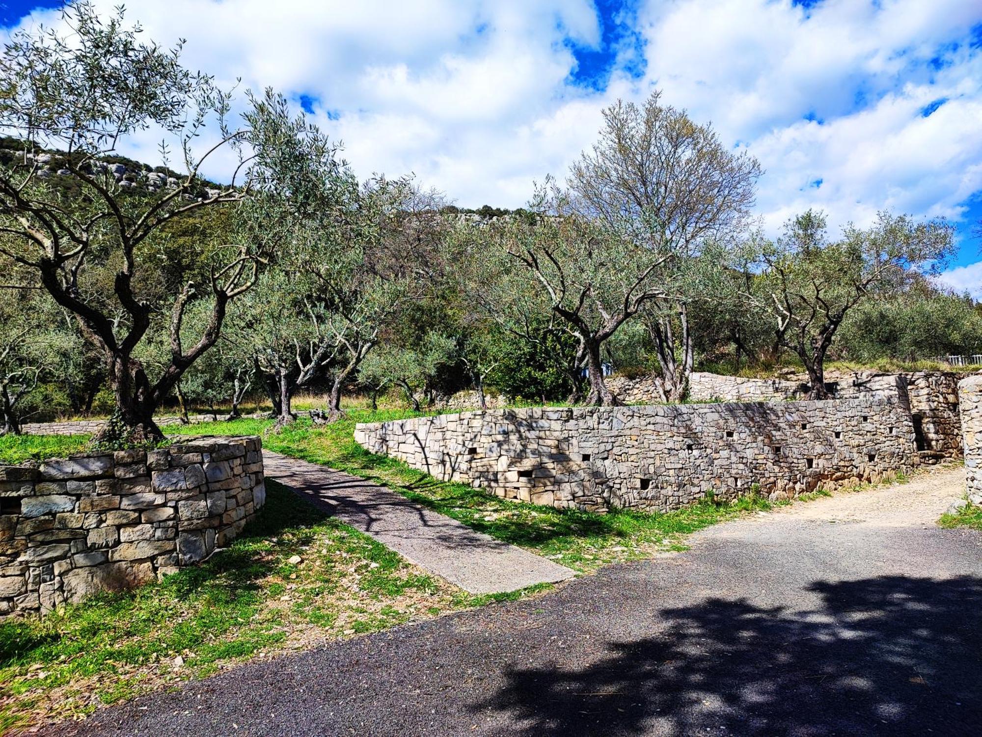 La Bergerie De Corconne Villa ภายนอก รูปภาพ
