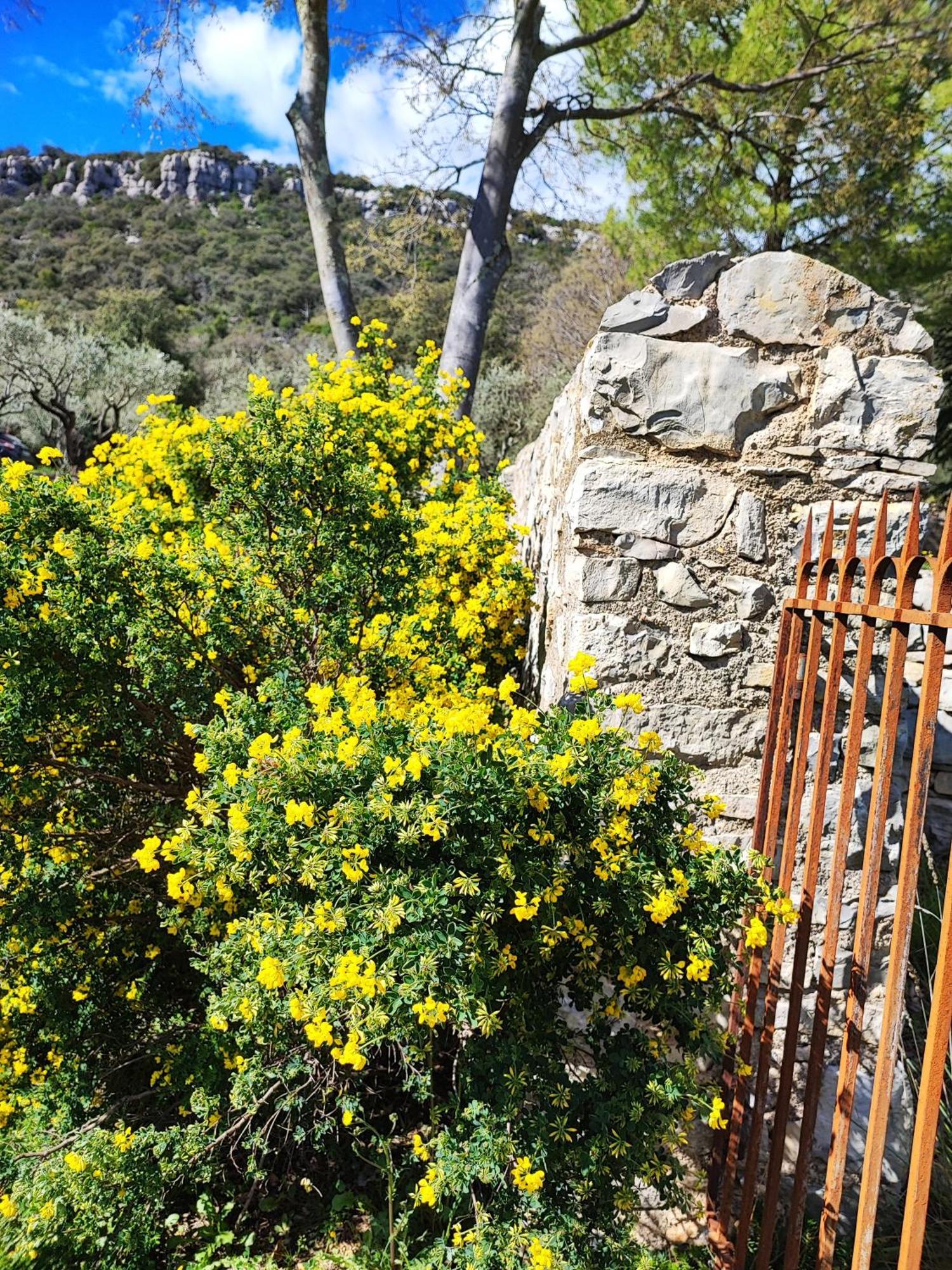 La Bergerie De Corconne Villa ภายนอก รูปภาพ